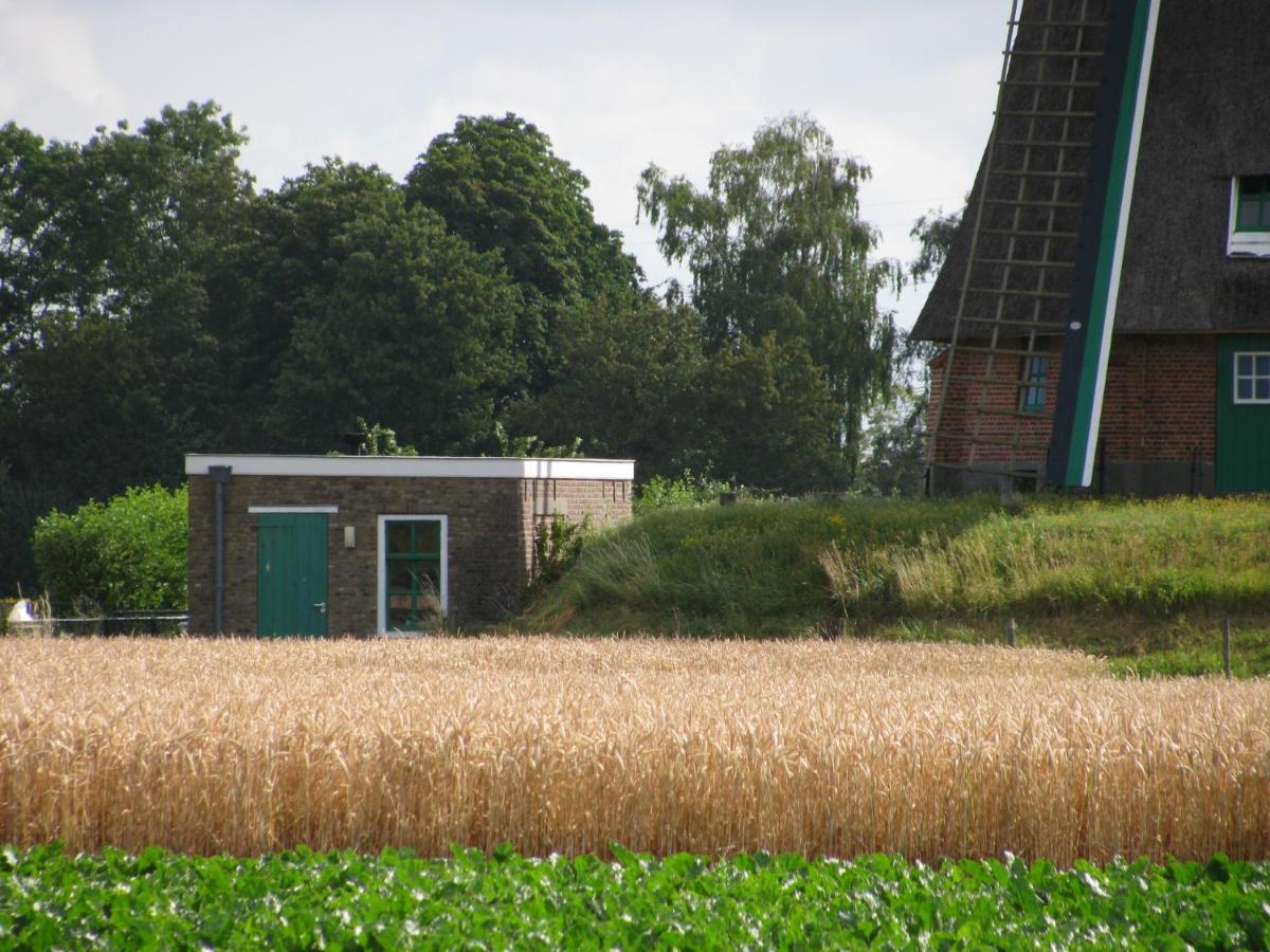 Slapen Aan De Voet Van De Molen Ovezande Ngoại thất bức ảnh