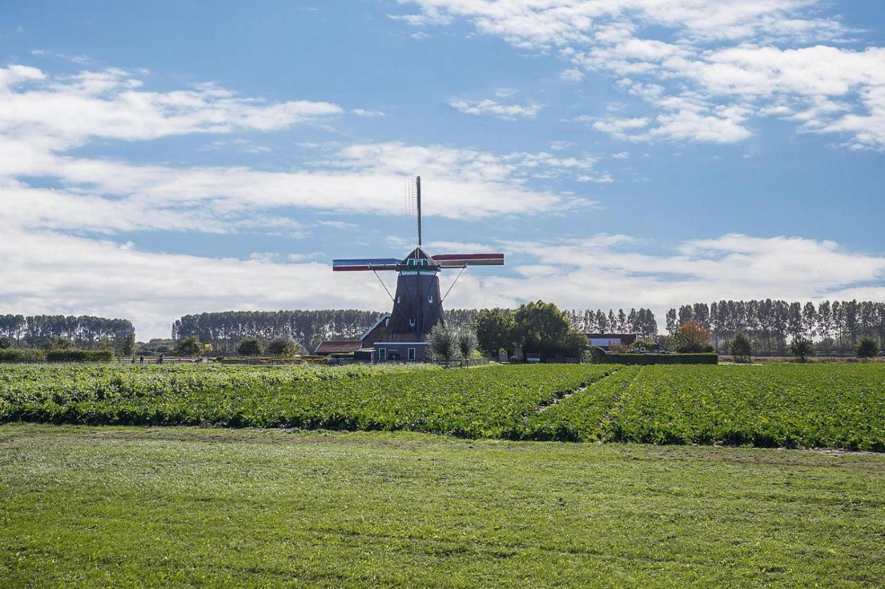 Slapen Aan De Voet Van De Molen Ovezande Ngoại thất bức ảnh